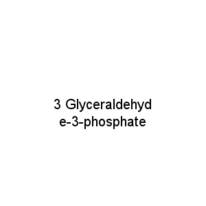 3 Glyceraldehyde-3-phosphate